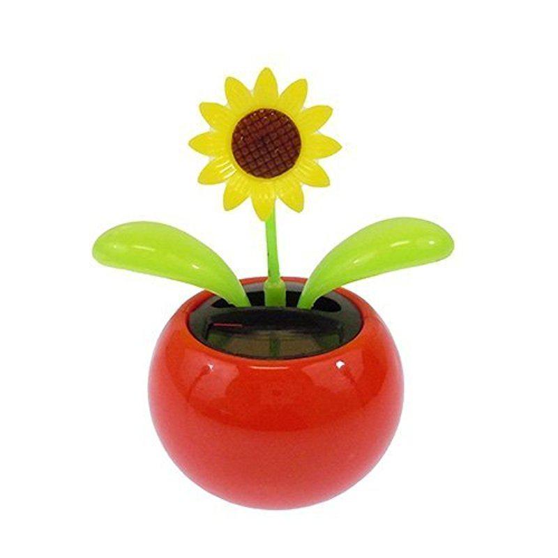 Kuulee Zonne Dansen Bloem-Zonnebloem, Mini