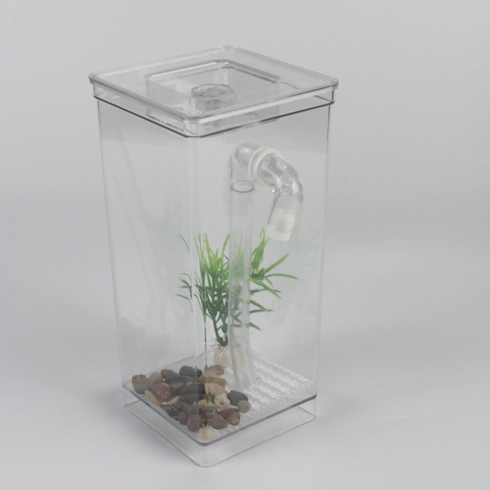 Desktop Goldfish Tank Aquarium Fish Tank Fun Kit Mini Aquatic Pet Supplies Grass Home Decor Self-cleaning Ecological