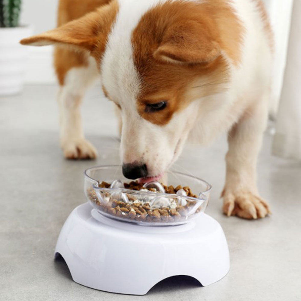 Kantelbare kattenbak, hondenvoerbak, draaibare, verstelbare waterplaat voor huisdieren, voerbak voor huisdieren, nekbescherming, voerbak voor honden, voerbak voor huisdieren