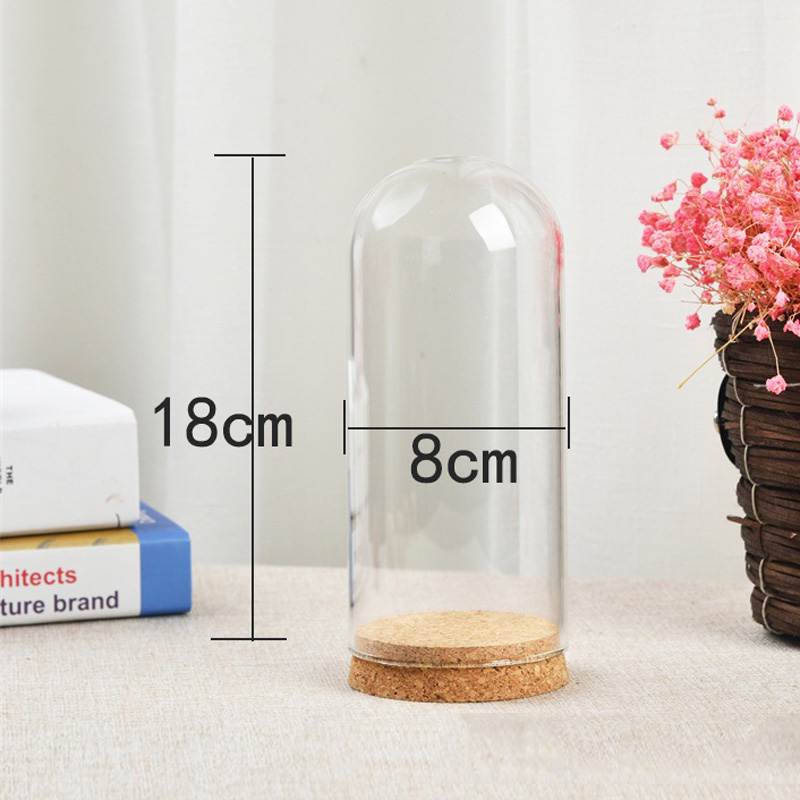 Glas Kuppel Cloche Abdeckung Holz Kork Basis Microlandscape Halfter Glocke Krug Für DIY Blume Pflanzen Vase Tisch Ornamente Hause Dekoration