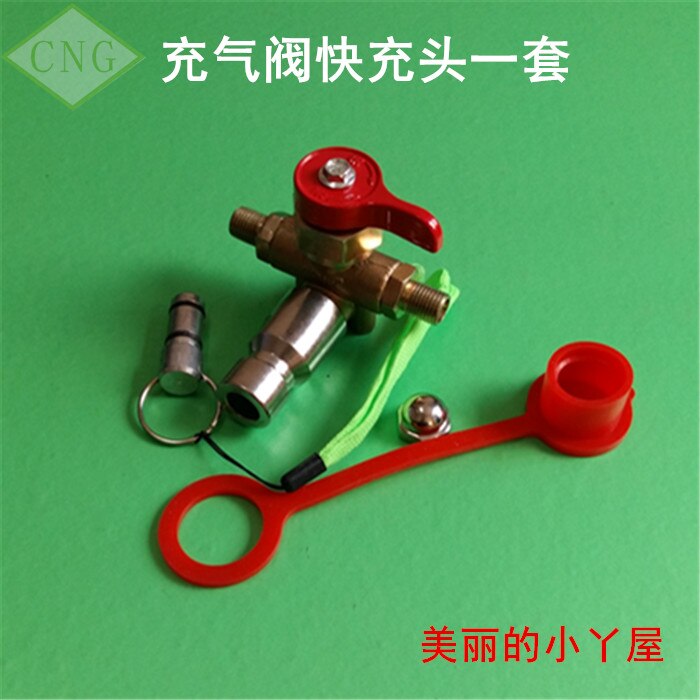 CNG Refuel Valve Filler Valve Methane NGV1 Filling Nozzle