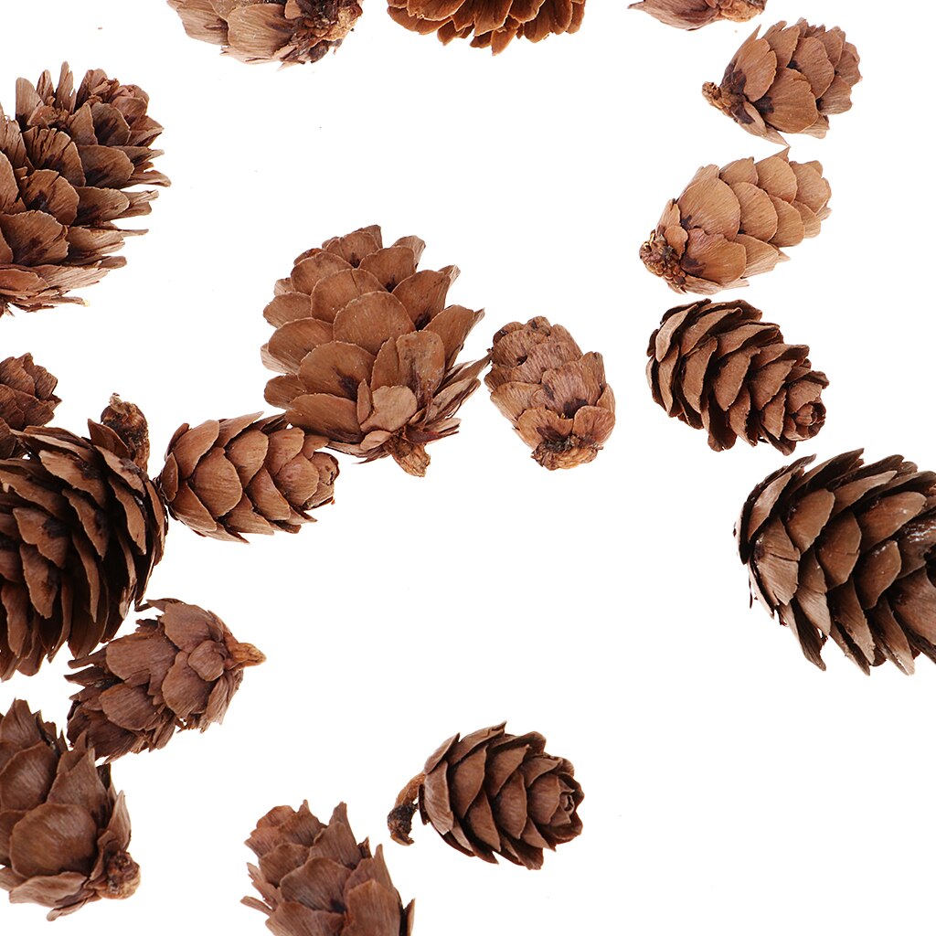 50 Stuk Diverse Maat Natuurlijke Dennenappels Voor Kerst Feest Decoraties