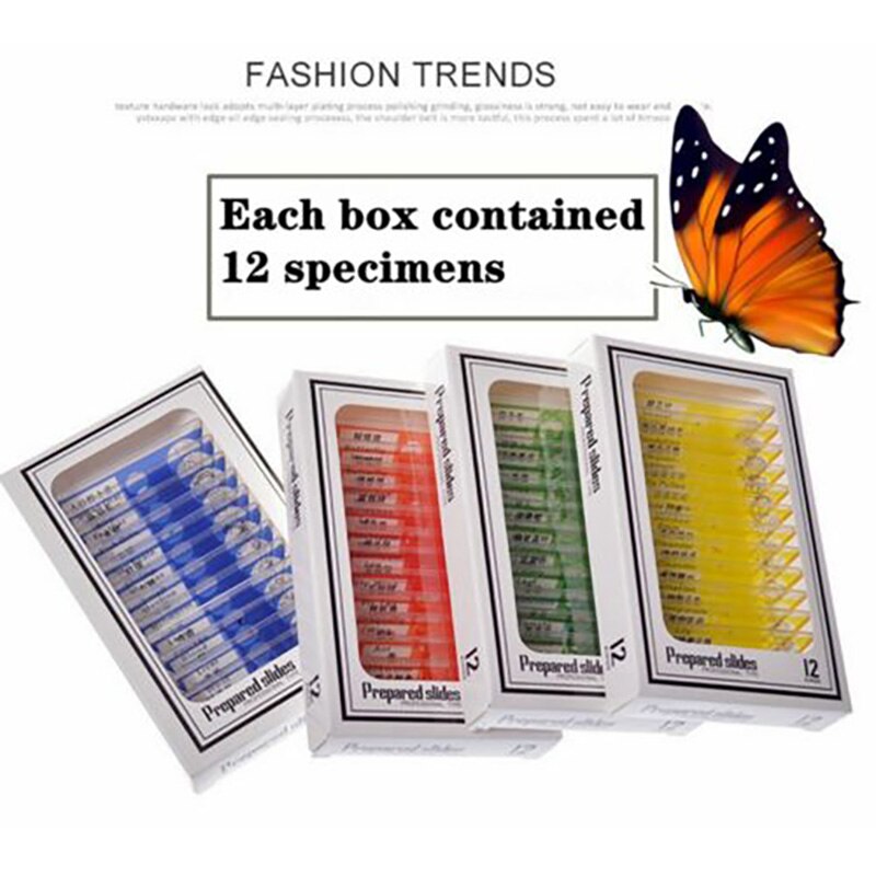 48Pcs Prepared Plastic Microscope Slides Biological Prepared Microscope Specimen Slide For Children Student Enlighten Education