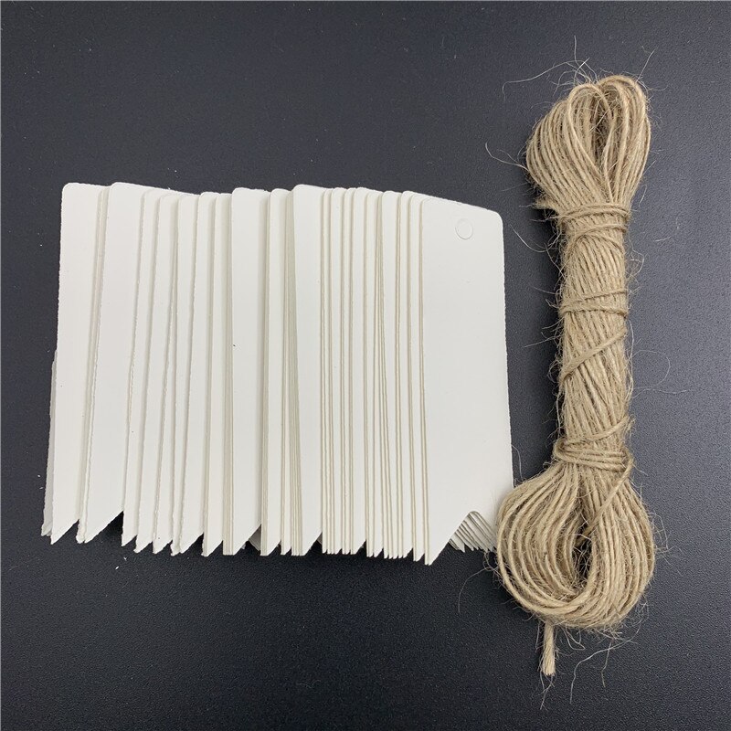 Lote de etiquetas de papel Kraft para manualidades, Mini etiqueta de comida artesanal, de color marrón, cuerdas para tarjetas de boda de 7x2cm, 100 unidades: white with string