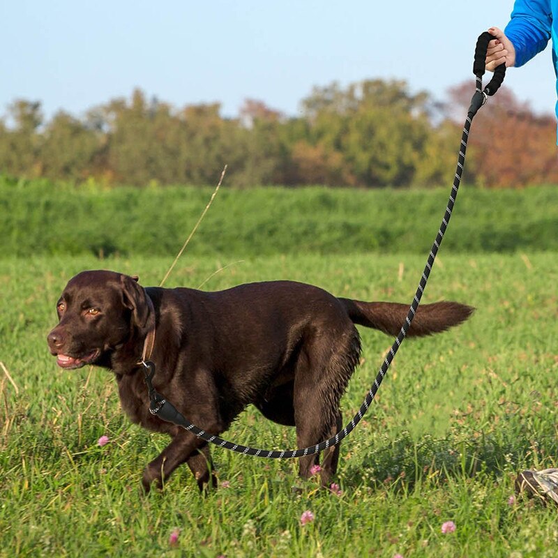 Fml Huisdier Lood Nylon Reflecterende Grote Hondenriem Touw Huisdier Running Training Hond Bergbeklimmen Touw Voor Medium Grote Grote honden