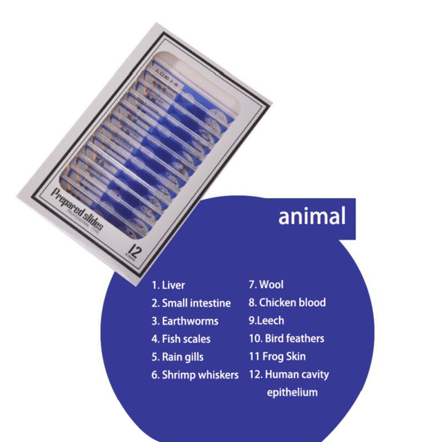 12 Pcs Microscope Slides Specimen Lens Biology Animals Insects Plants Flower Sample for Children Home School Science Educational: 12pcs animal