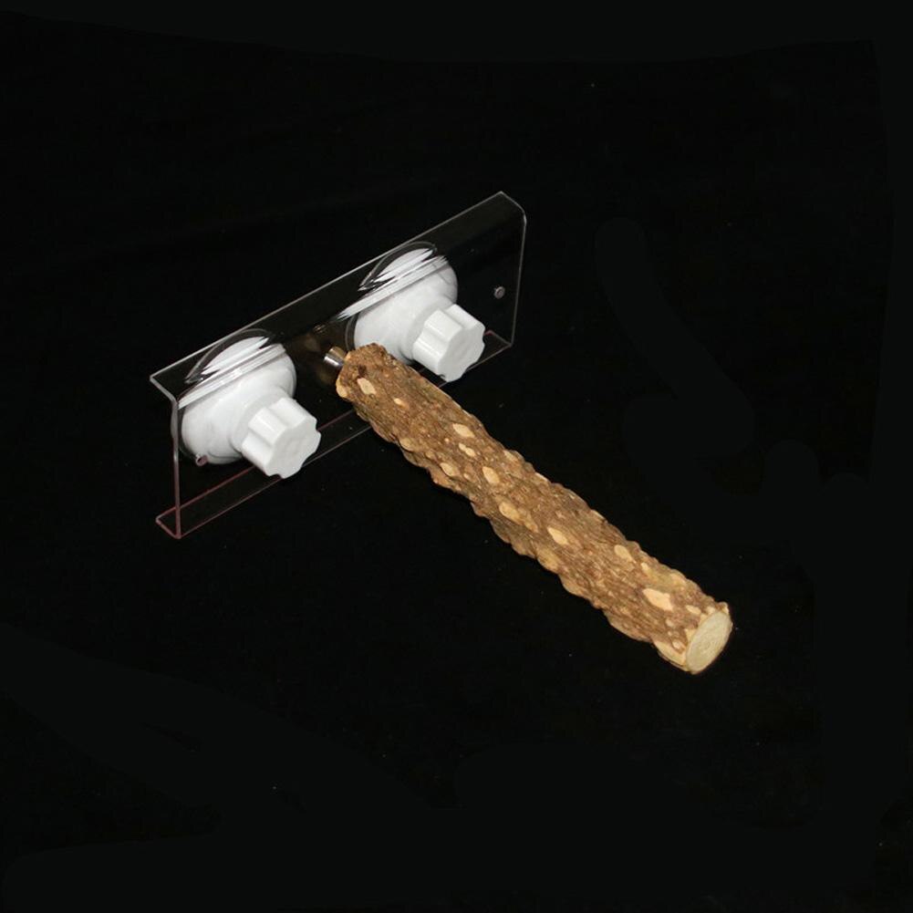 Palo de madera de pie para aves y loros, ventosa, barra de ducha, juguete de baño, suministro para mascotas: Zanthoxylum 20cm