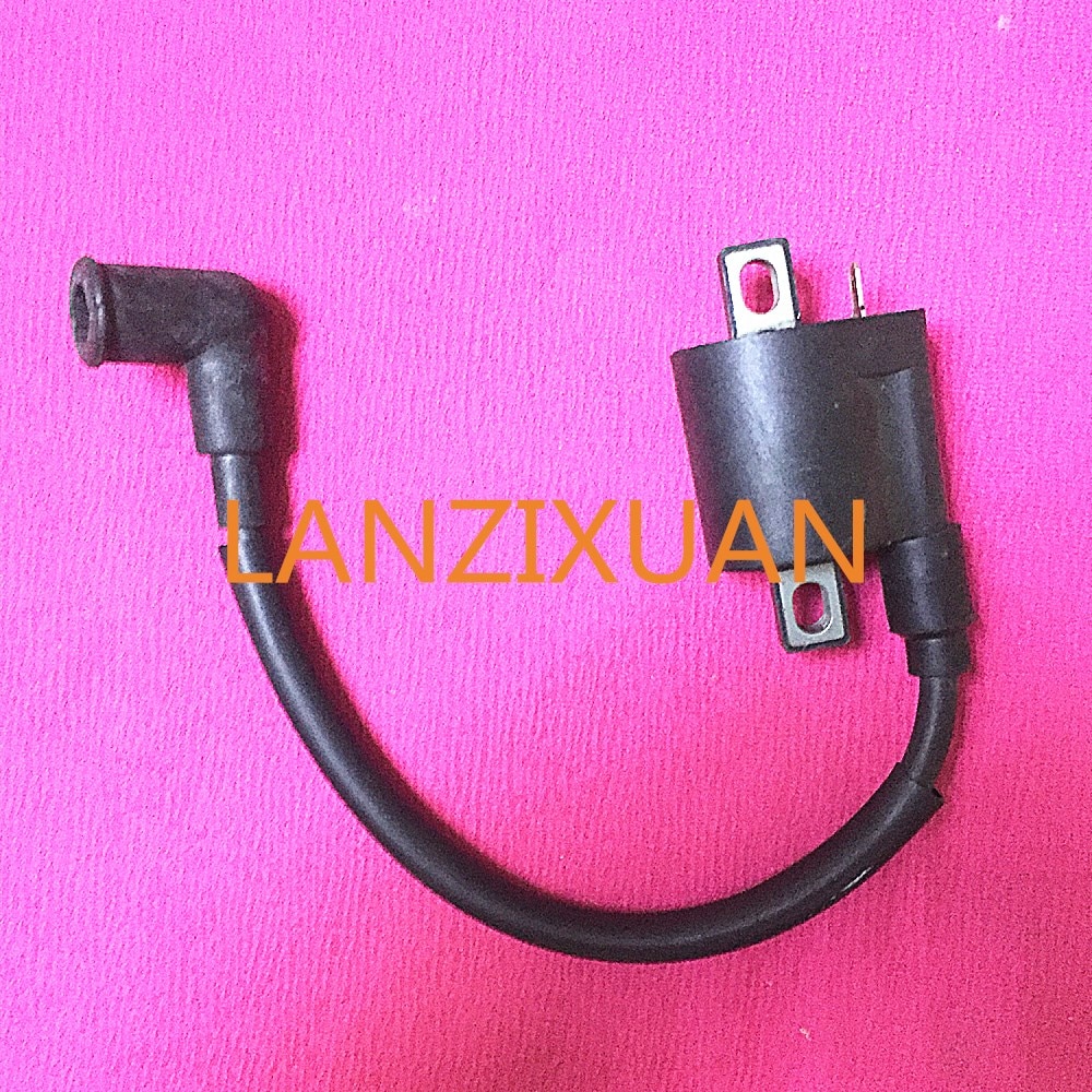 T5-05000400 Boat Motor Ignition Coil Assy for Parsun 2-Stroke T4 T5 T5.8 Outboard Engine High Pressure Coil,