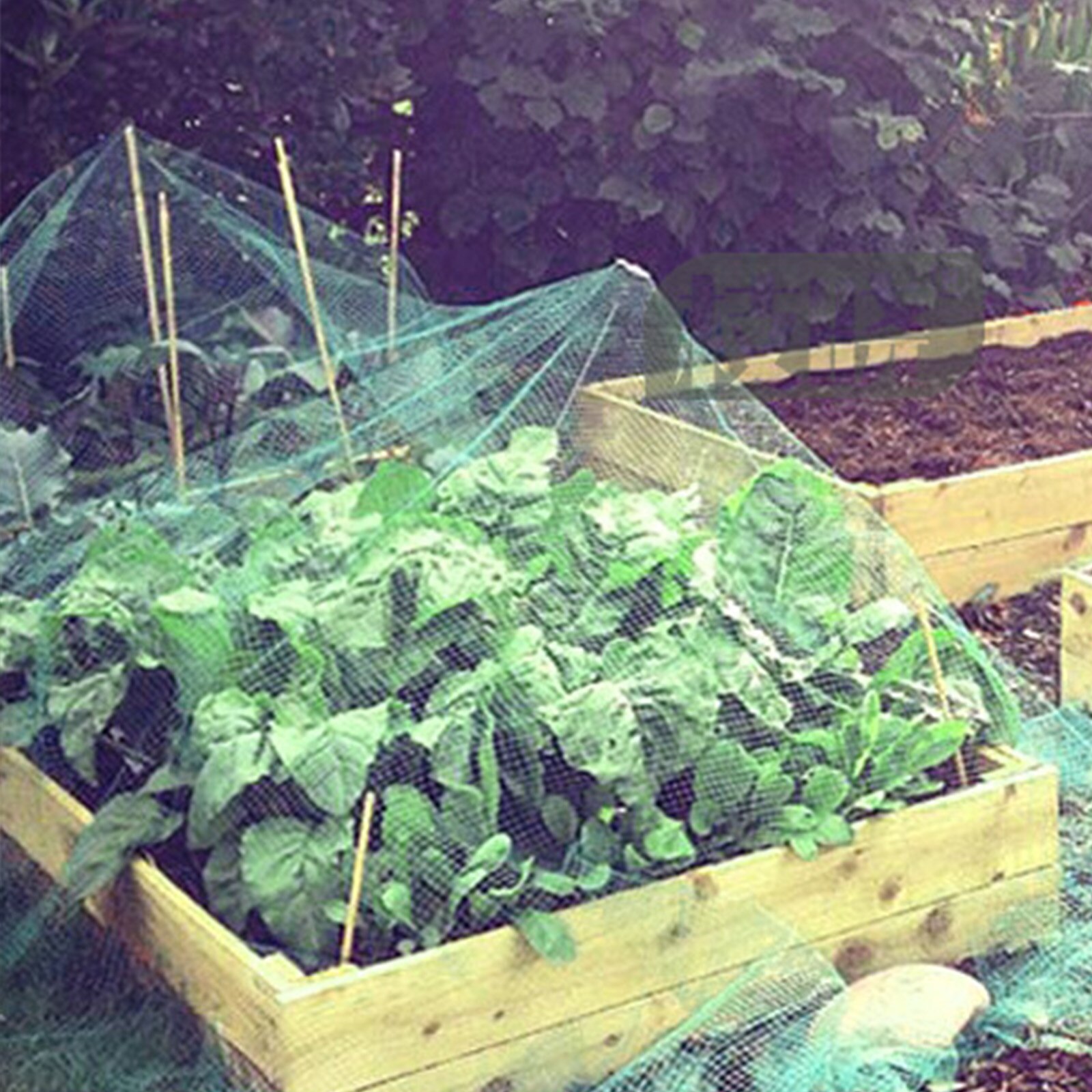 2m/5m/10m Garden fence Garden protection net Gardening net Orchard bird net Poultry farming fence