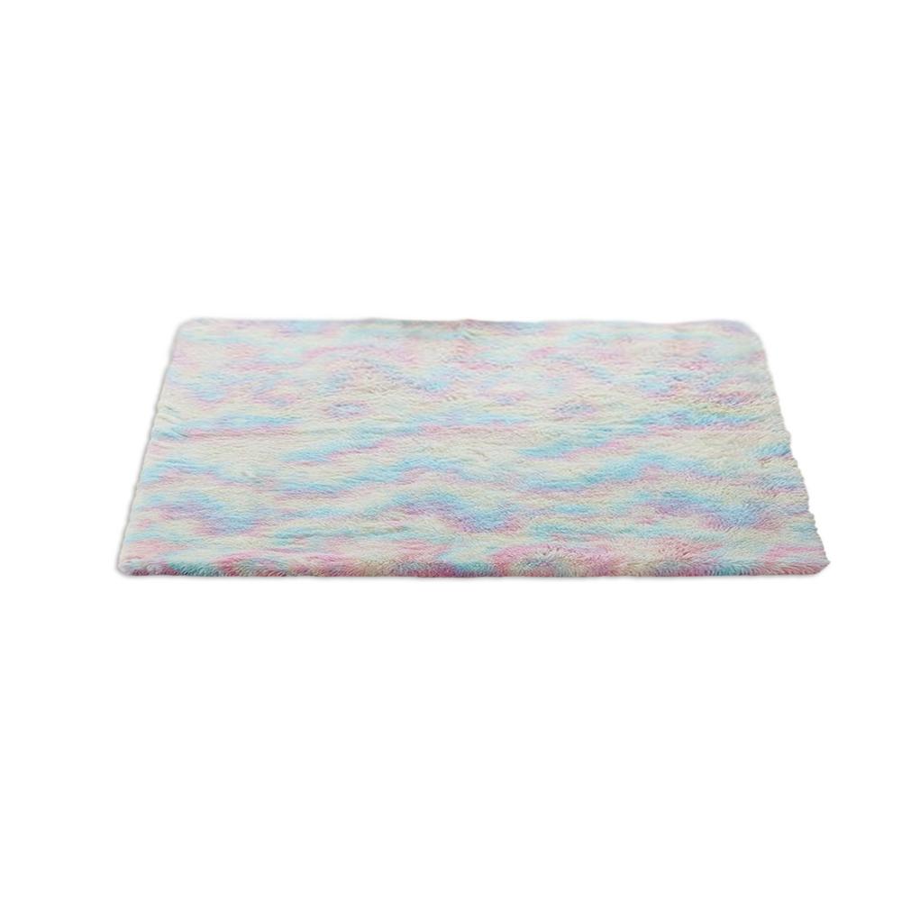 Regenboog Kleuren Tapijten Voor Woonkamer Tapijt Slaapkamer Decor Tapijt Floor Karpetten Voor Thuis Fluffy Thicken Mat Lange Zachte fluwelen Mat: 80X160cm