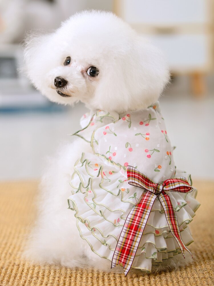 Puppy Hond Super Leuke Print Kant Prinses Jurken Mooie Hond Zomer Tutu Jurk Bovenkleding Kleding Chihuahua Poedel Honden Rok