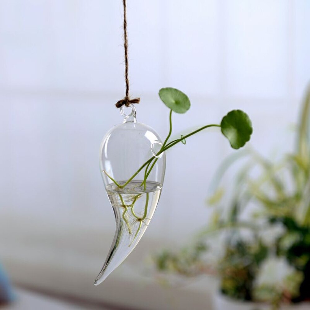 Hängande glas blommor växt vas flaska terrarium behållare hem trädgård dekorer diy transparent: 3