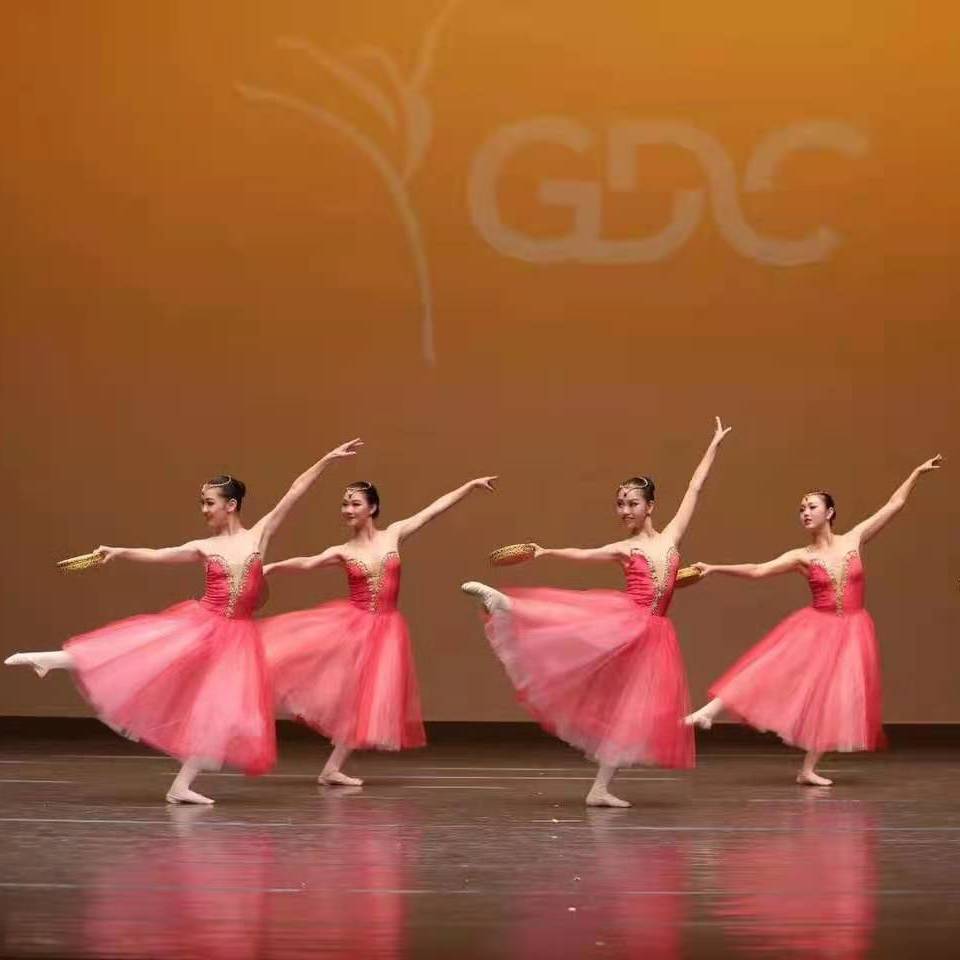 Vestidos de ballet largos fashion