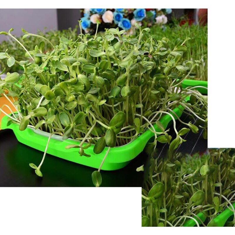 Seed Sprouter Tray 2 Layer Soilless Hydroponic Nursery Pot Germination Planter