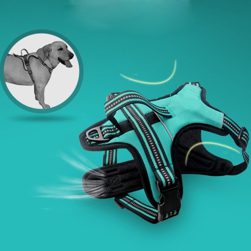 Pet Dog Harness Leash With Adjustable Straps Chest Back Reflective Breathable Mesh Chest Strap Pet Dog Supplies