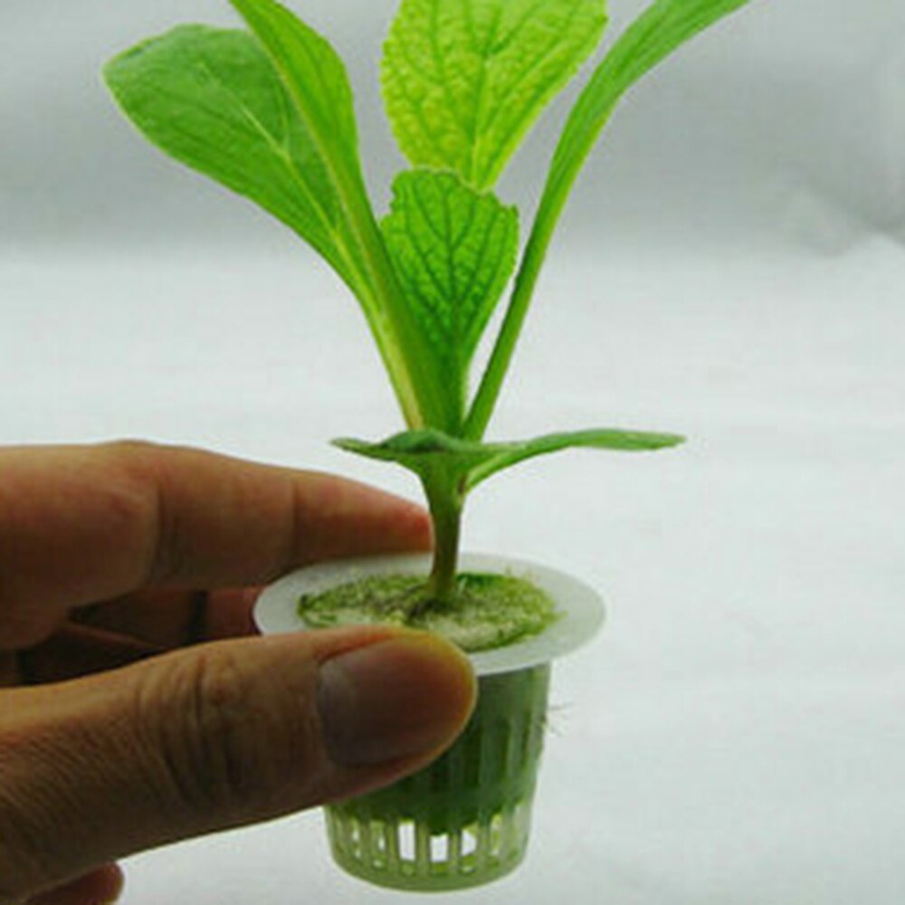 10 sæt mini mesh potte net kop kurv hydroponisk aeroponic plante vokse svamp praktisk