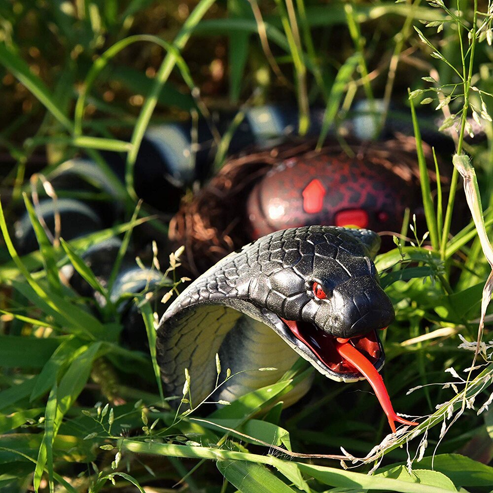 radio control snake