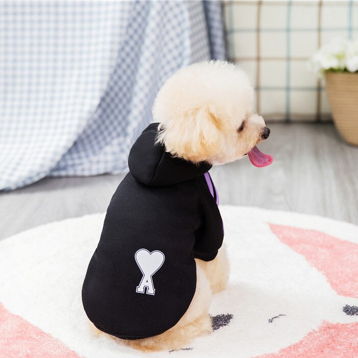 Huvtröja hundkläder kläder vår höst pomeranian teddy bichon pomeranian liten hund kläder katt sportkläder: 1 / Xxl