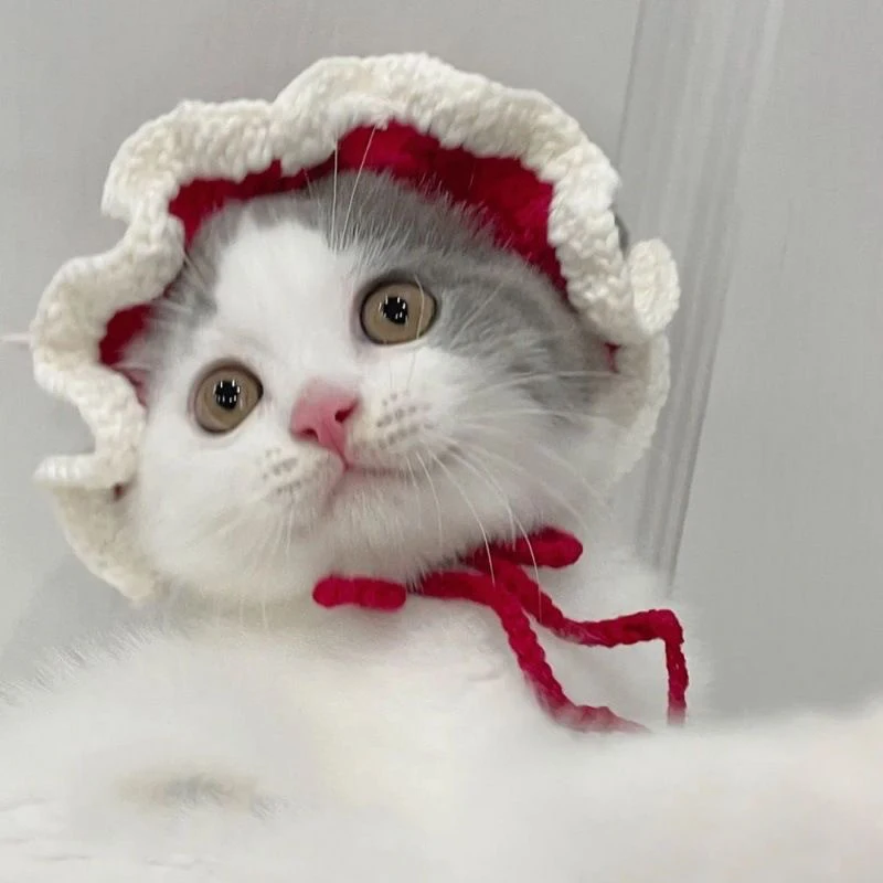 Outono inverno gato chapéu elástico bonito refinado chapéu para animais de estimação filhote de cachorro gatinhos chapéu de malha festa sessão de fotos adereços decoração acessórios para gatos: Marrom