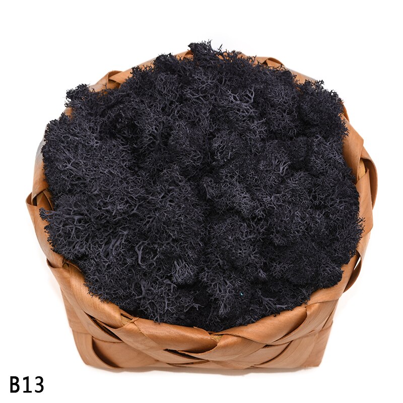 40g kunstige planter evigt liv mos mini have mikro landskab tilbehør boligindretning væg diy blomster materiale: B13