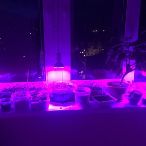 2M/lot Led plant growth fill light with line switch screw lamp head led plant lamp flower vegetable fleshy nursery lamp E11368