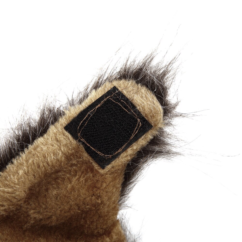 Animal de compagnie chat chien émulation Lion cheveux crinière oreilles tête chapeau automne hiver habiller Costume silencieux écharpe