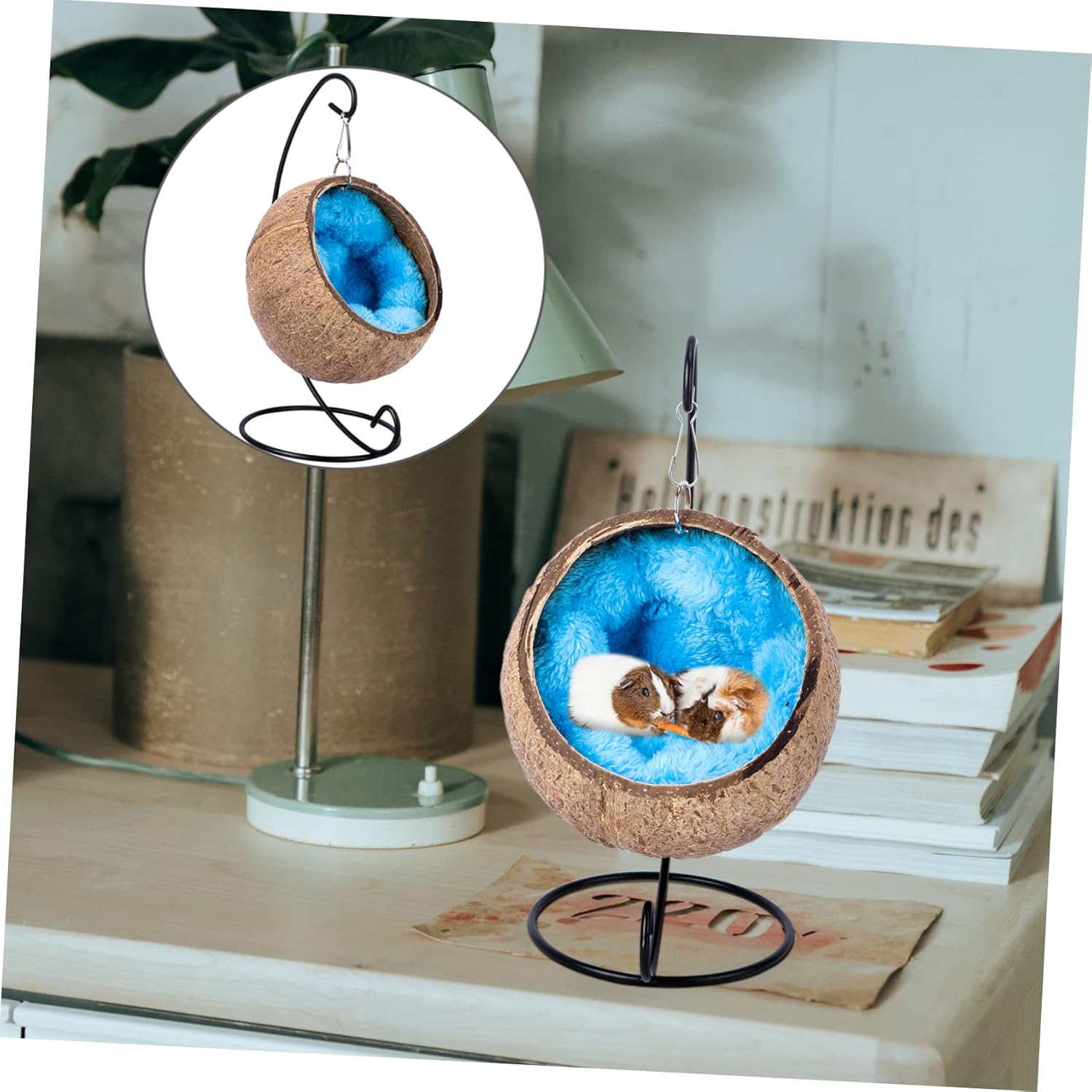 Hamaca colgante para hámster, cama nido de cáscara de coco para mascotas con soporte, jaula, accesorios para mascotas pequeñas, oso dorado, planeador de azúcar, ardilla
