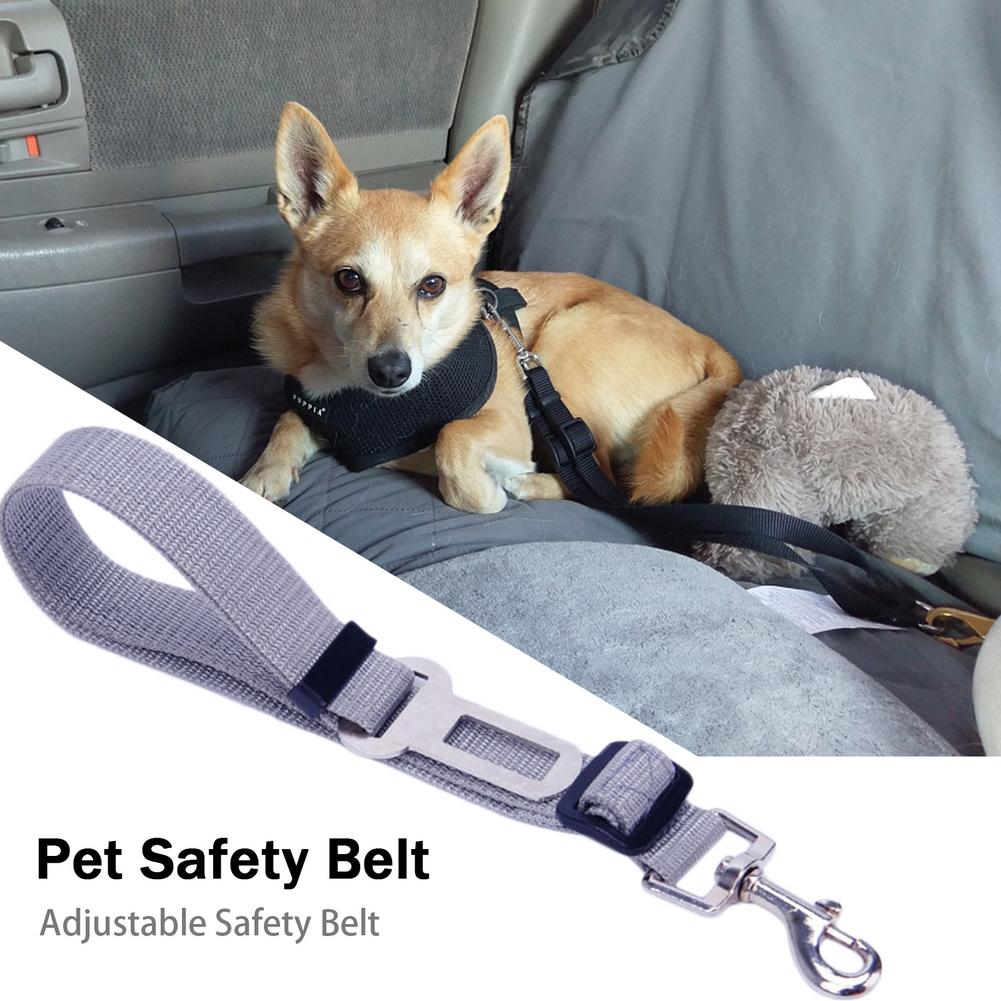 Huisdier Kat Hond Autostoel Veiligheidsgordel Touw Verstelbare Stof Harness Leash Voor Small Medium Honden Reizen clip Voor Huisdieren