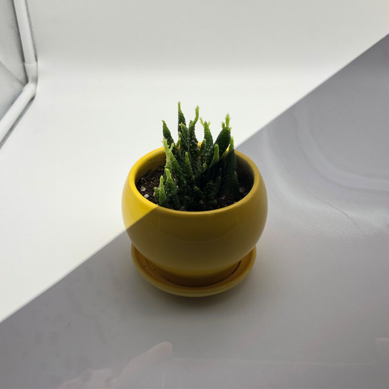 600cm x 50cm Schwarz Auto Fenster Folien Tönung Tönung Film rollen Auto Auto Heimat Fenster Glas Sommer Solar- UV Schutz Aufkleber Filme