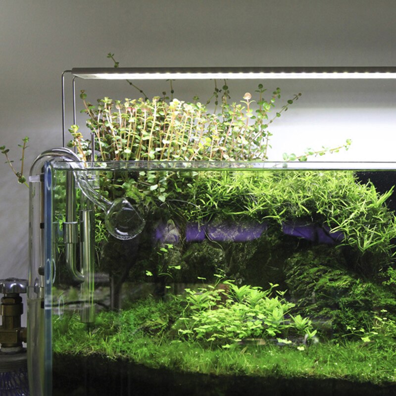 1Set Aquarium Stand Aquatic Led Aquarium Light Stand Kit Fish Tank Holder Stainless Steel Stand For Fish Tank Holder