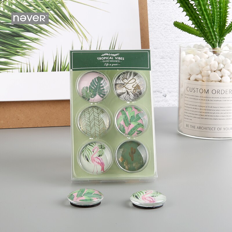 Imanes de cristal de la serie NEVER Plant, imanes, tachuelas para el pulgar, soporte de mensajes para pizarra blanca, de artículos de oficina, papelería, tienda