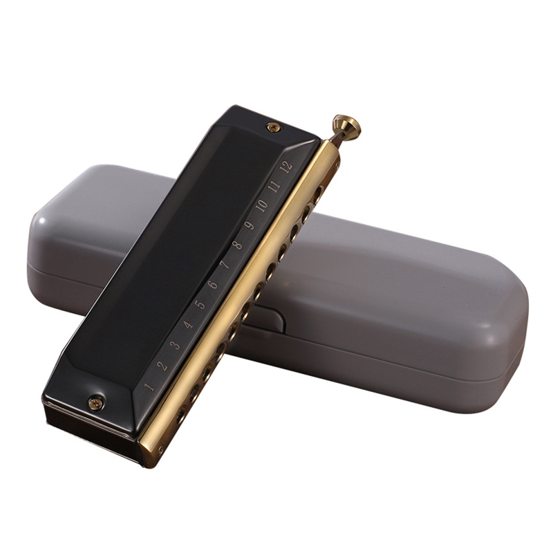 Harpe Harmonica à 12 trous, 48 tons, diatonique, Key C, bleu, Jazz, orgue buccale, éducation précoce, entraînement au sens de la musique: Black