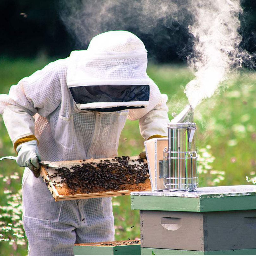 Bee Roker Rvs Bee Rook Handleiding Imker Gereedschap Gemak Bee Spuit Bijenkorf Apparatuur Bijenteelt Roker Bijenteelt