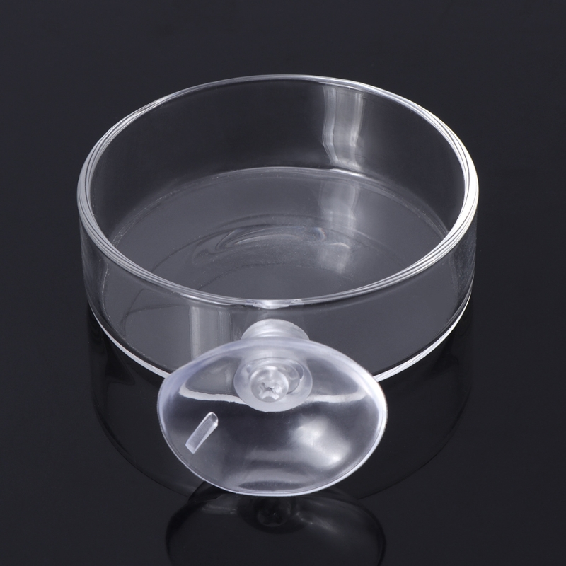 Plato alimentador de cristal transparente de gambas para comer, bandeja de comida, contenedor redondo, cuencos de alimentación para pecera de acuario