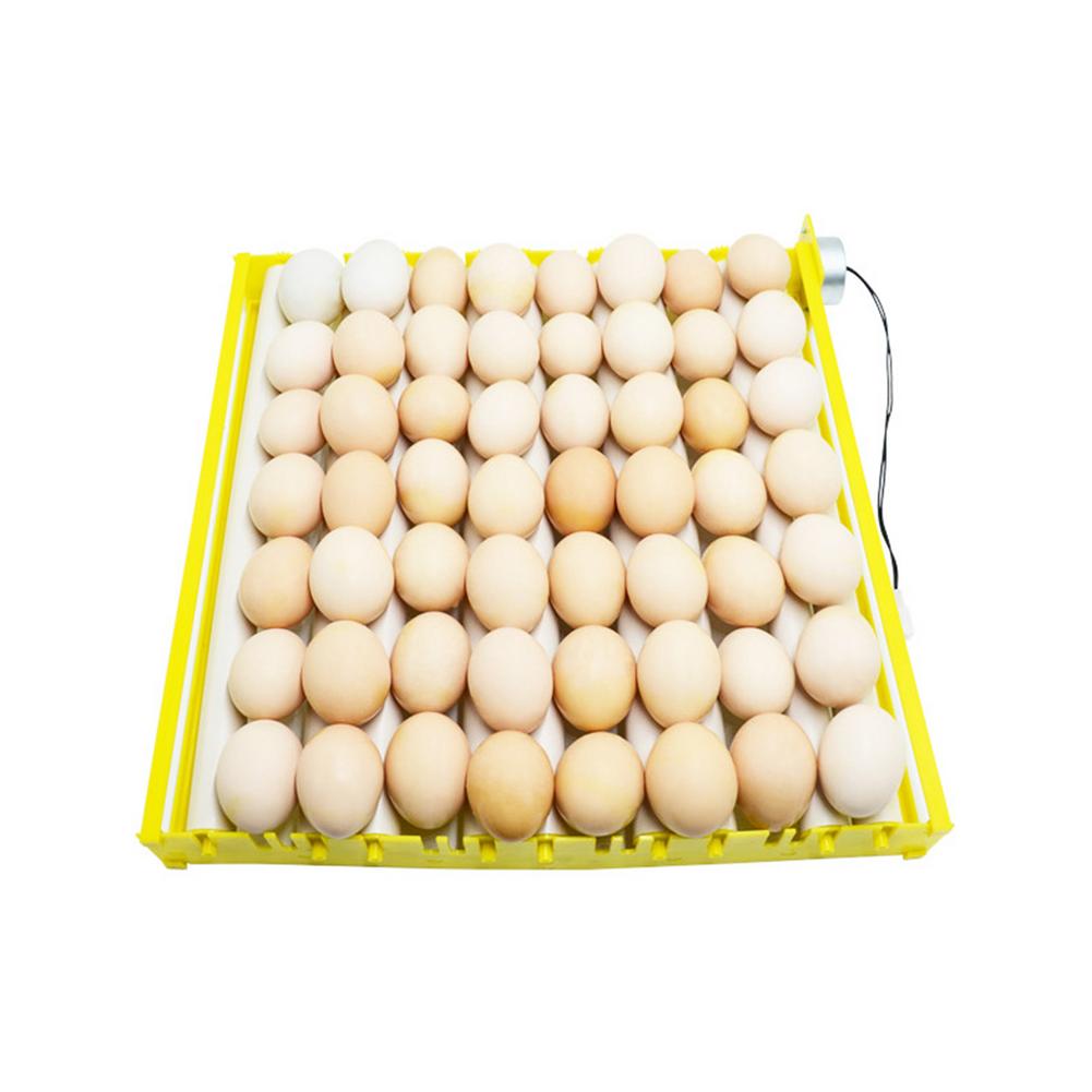 Bandeja giratoria para incubadora de huevos, equipo de incubación de aves de corral, pollos, patos y otras incubadoras de aves de corral, gira automáticamente los huevos, 56 Uds.