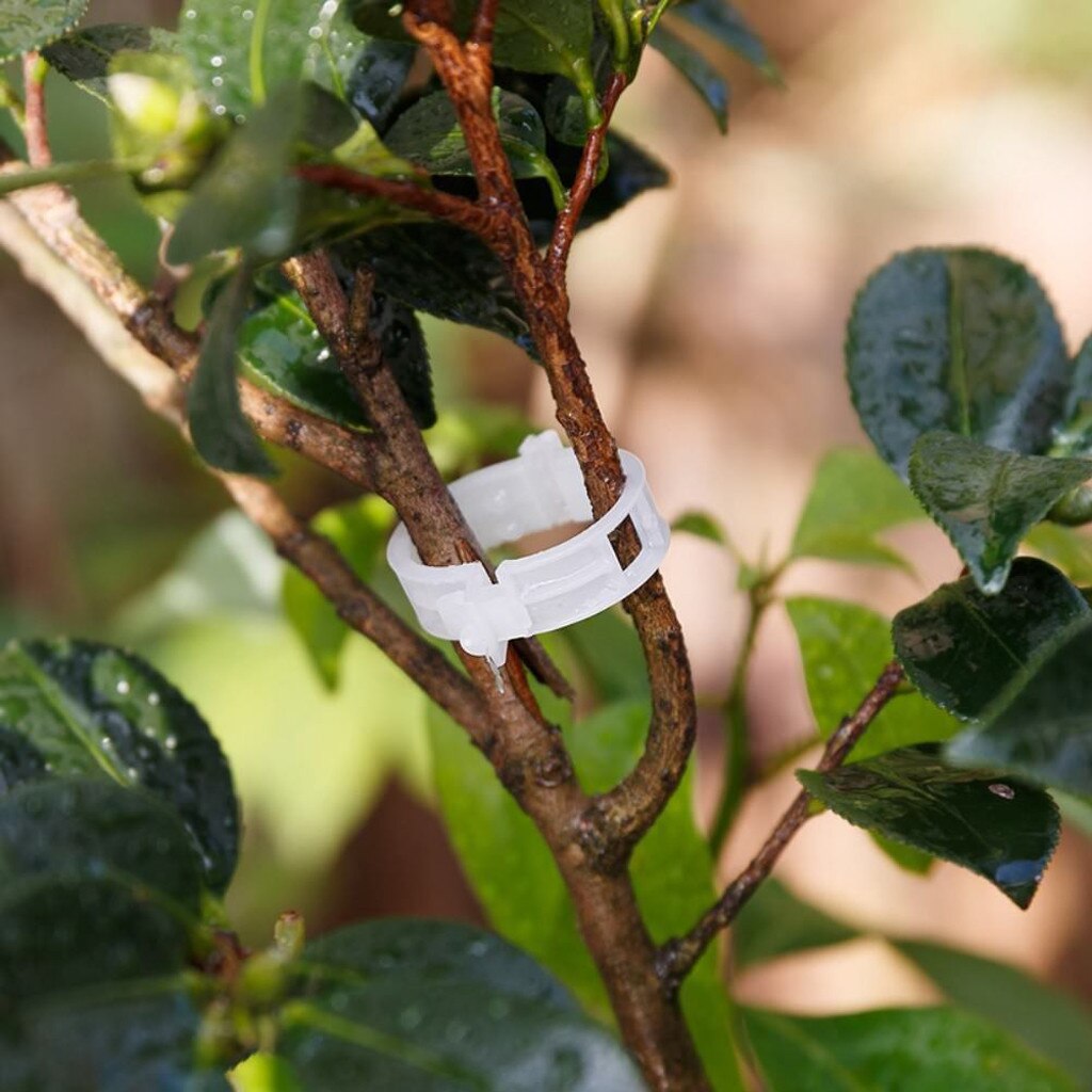 Greenhouse Plastic Opknoping Vine Plant Ondersteuning Clips Groenten Tuin Ornament