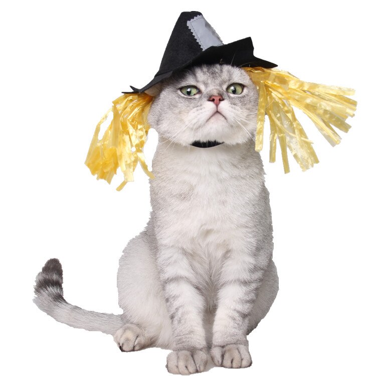 Hond Kat Halloween Party Cap Grappige Vogelverschrikker Hond Hoeden Halloween Dress Up Voor Honden Pet Festival Levert