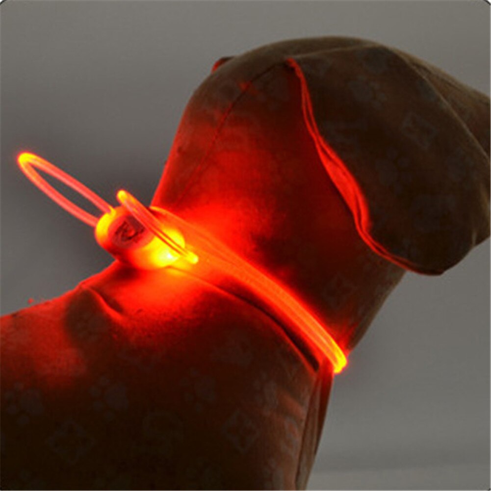 1 stk. led kæledyrs krave justerbar kæledyrs sikkerhed træk kabel nat krave lysende lampe til hunde lys krave snor vandproo: Orange