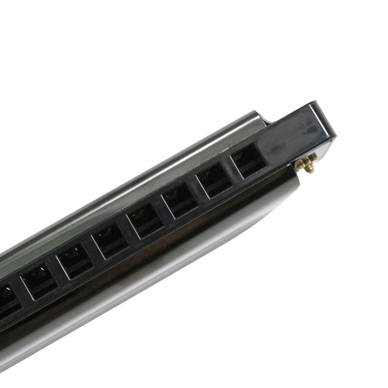 Flanger fh -01 diatonische blues mondharmonica standaard 10 gaten 20 toon met koffer toonsoort c voor beginners professionals