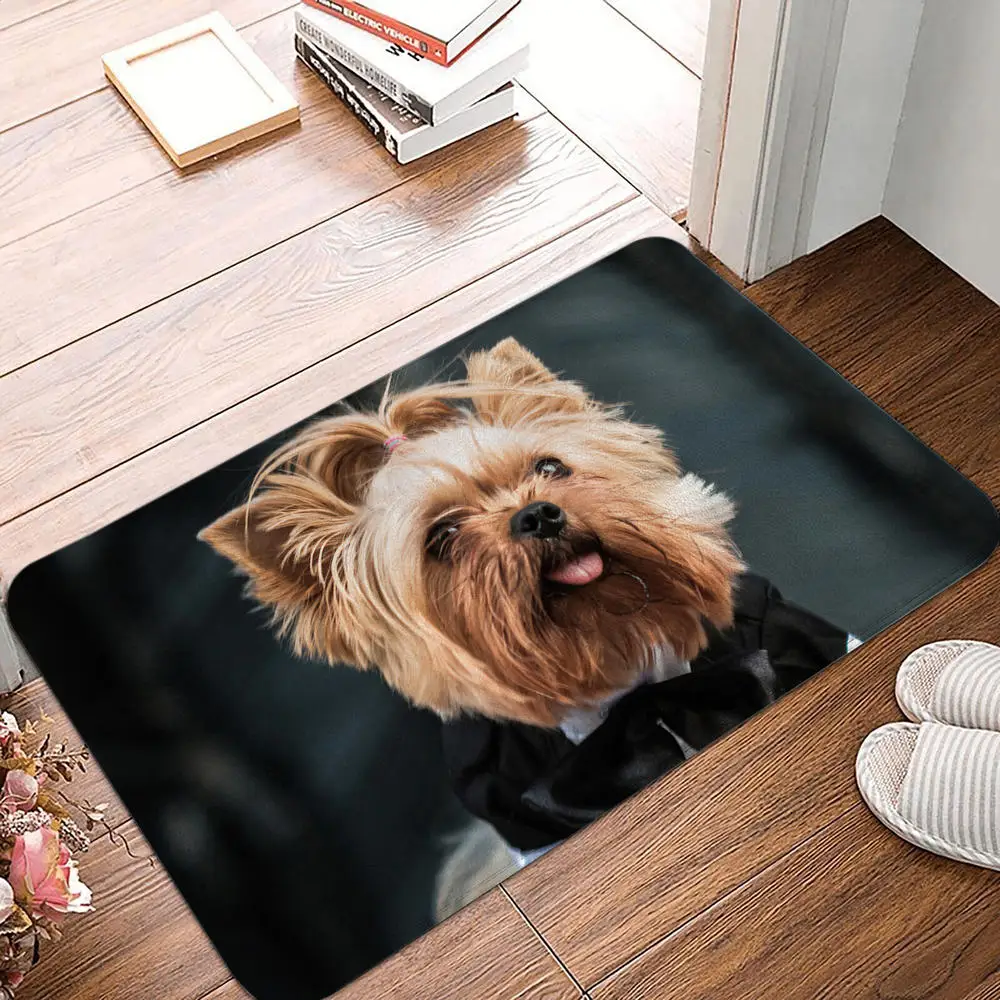 Bedroom Balcony Non-Slip Rug Entrance Door Mat Floor Dog Funny Pug Schnauzer Kitchen Living Room: 1 m2 / Red
