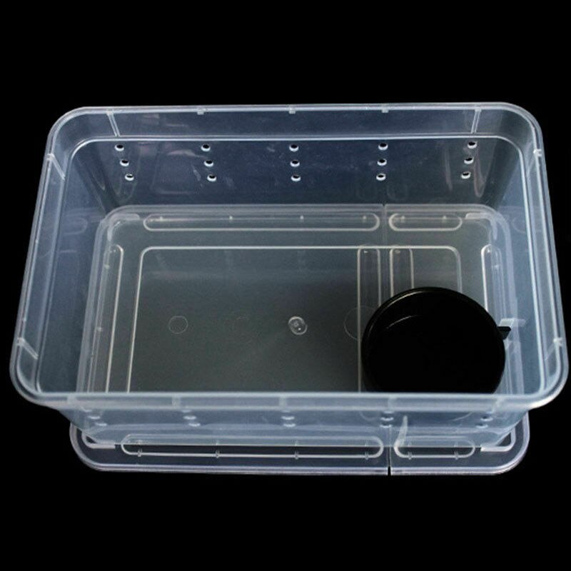 Transparent Plastic Box Insect Reptile Transport Breeding Live Food Feeding Boxes Insect Supplies
