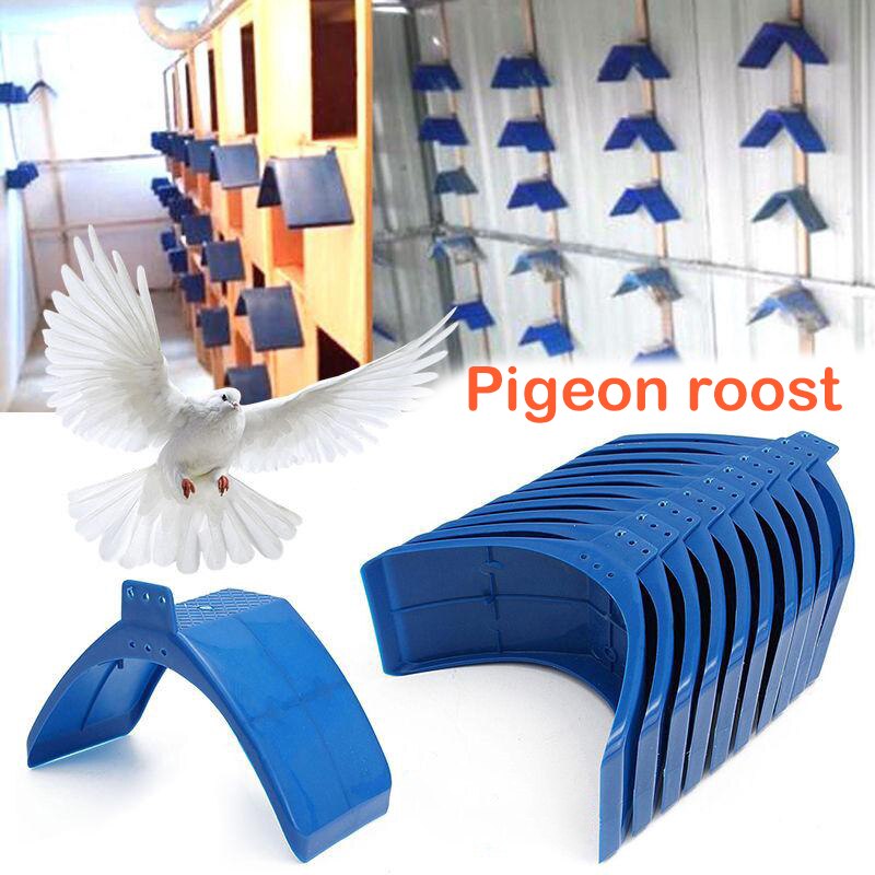 1/5/10pcs Pigeon Perch Dove Rest Stand Frame Grill Dwelling Roost Bird Supplies Bird Perch Stand Blue Bird Accessories B1