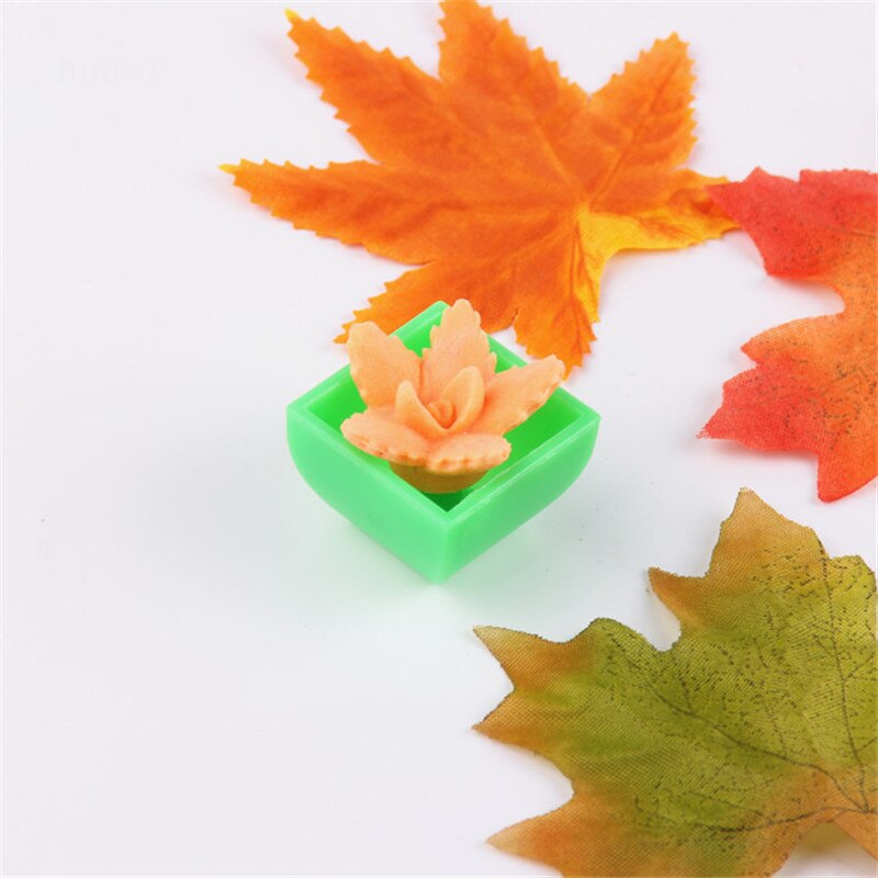 2pcsGrowing in Wasser Blume Cactuse Bonsai Erweiterung Anlage Spielzeug Magie Spielzeug für freundlicher sterben Kaktus Können Wachsen Spielzeug GYH