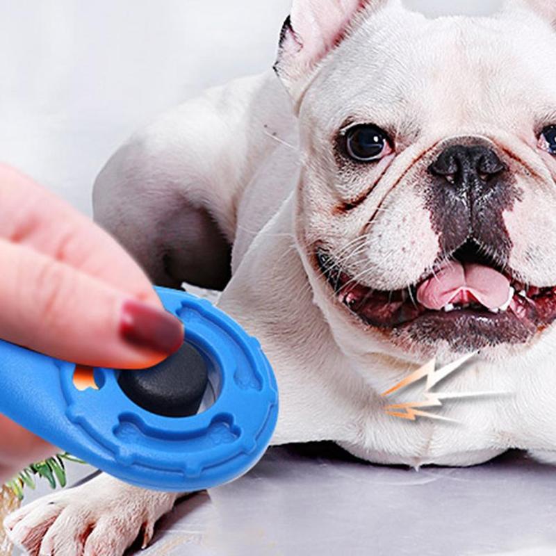 1 Pc animal de compagnie chat chien formation Clicker plastique nouveaux chiens trop sangle poignet aide sifflet clé son formateur clic chaîne outil chien Adjus I1U1