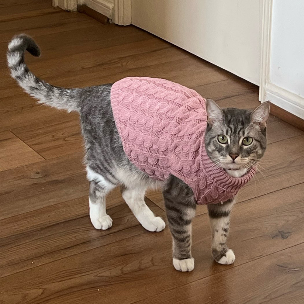 Suéter de punto cálido para gatos Sphynx, ropa de invierno para mascotas, ropa para gatos, jerséis para cachorros y gatitos Katten Kedi, ropa para gatos