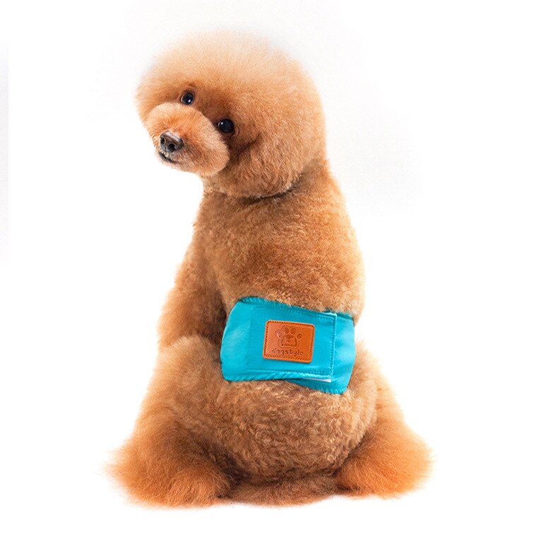 Reusable Washable Dog Shorts Dog Diaper Sanitary Physiological Pants Durable Comfortable Stylish Dog Pants Wraps for Male Dogs