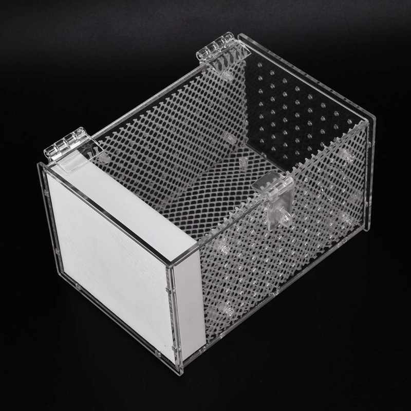 Insect Rearing Box Mantis Easy Cleaning Landscaping Acrylic Insects House Feeding Hole for Insect Rearing for Insect Feeding
