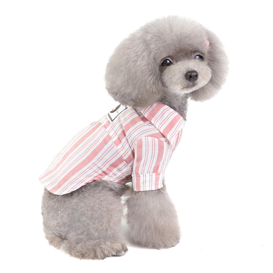 Huisdier Kleding Hond Zomer Shirt Teddy Streep Shirts Chihuahua Twee Legged Kleding Hond Shirts Voor Kleine Honden Hond Kleding