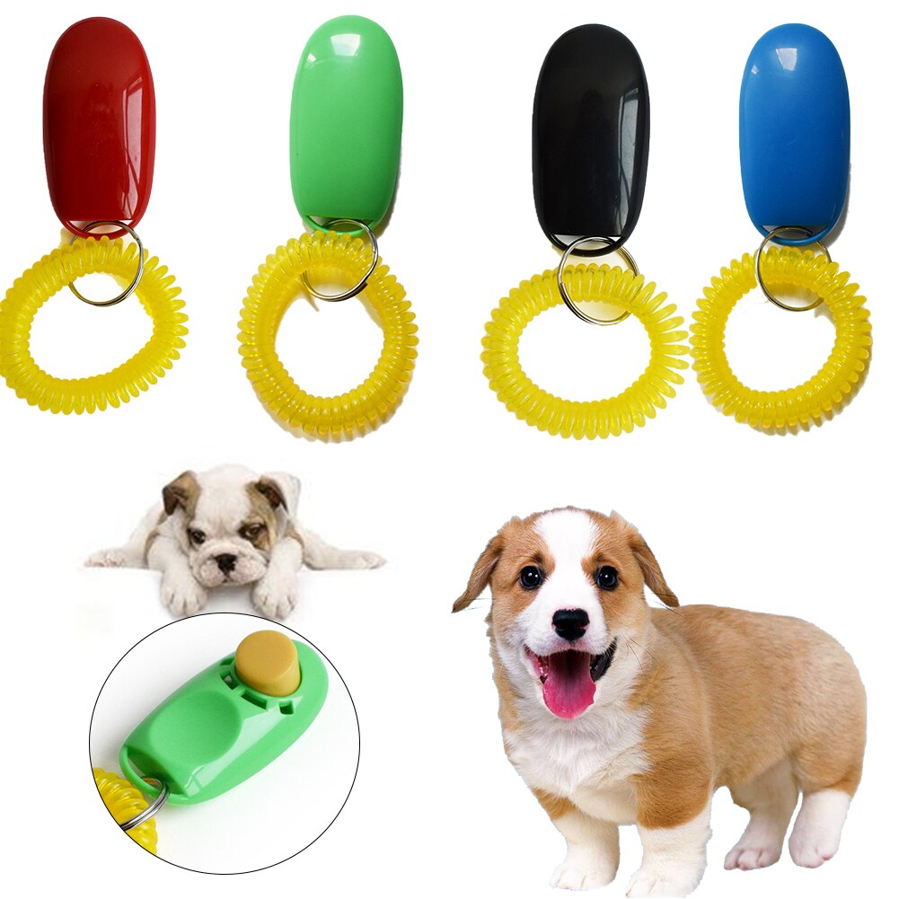 1Pc Pet Kat Hond Training Clicker Plastic Hond Kli... – Grandado