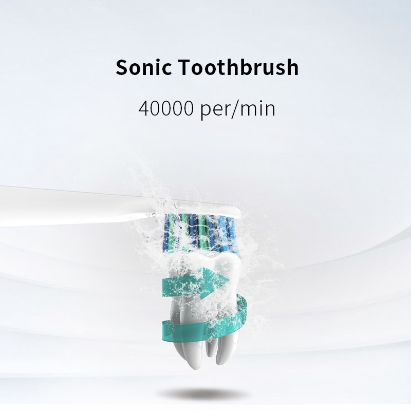 SEAGO Electric Toothbrush Sonic Adult Battery Tooth brush 2 Replacement Brush Heads Timer Waterproof brush your teeth E2